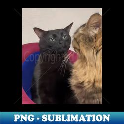Funny Cat Meme Trend - Premium PNG Sublimation File - Perfect for Sublimation Art