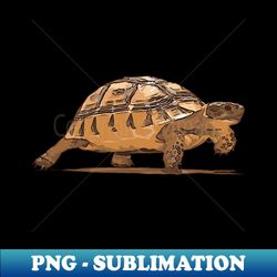 cartoon portrait of wild baby tortoise plodding - signature sublimation png file - unleash your inner rebellion