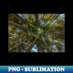 bamboo forest canopy - elegant sublimation png download - capture imagination with every detail