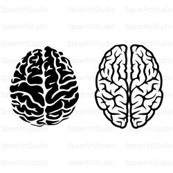 brain svg, brain cut file, brain jpg