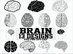 brain svg, human brain svg, organ svg, clipart