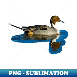 Pintail reflections - Unique Sublimation PNG Download - Unleash Your Inner Rebellion