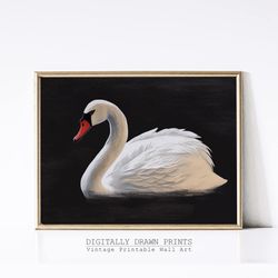 White Swan Black Background,Vintage Spring Painting Wall Decor,Heritage Art,PRINTABLE DIGITAL DOWNLOAD.jpg