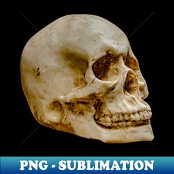 side view of a human skull - high-resolution png sublimation file - vibrant and eye-catching typography