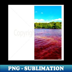 celestun ria wetland ecopark ecopop landscape photo in yucatan flamingo kawaii - instant sublimation digital download - unleash your inner rebellion