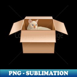 flame point siamese cat loves box - sublimation-ready png file - capture imagination with every detail