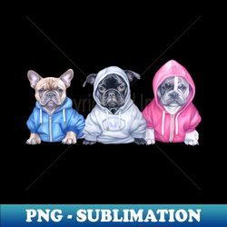 endearing french bulldog trio wearing hoodies - instant sublimation digital download - defying the norms
