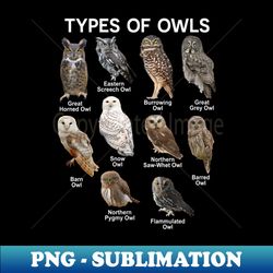 owl types of owls - decorative sublimation png file - revolutionize your designs