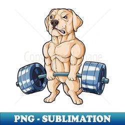 gym lover labrador weightlifting - high-quality png sublimation download - instantly transform your sublimation projects