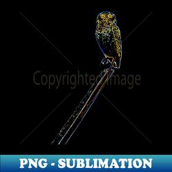 owl - retro png sublimation digital download - perfect for personalization