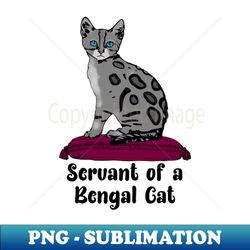 bengal cat sitting on pillow servant - unique sublimation png download - create with confidence