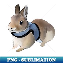 brown rabbit with harness  bunniesmee - exclusive png sublimation download - bring your designs to life