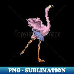 flamingo ballerina ballet - vintage sublimation png download - unleash your creativity