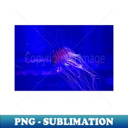jellyfish  swiss artwork photography - creative sublimation png download - fashionable and fearless