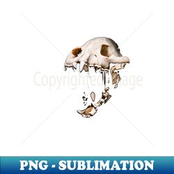 dinosaur skull  swiss artwork photography - creative sublimation png download - fashionable and fearless