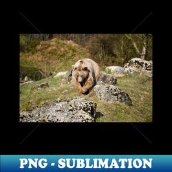 br  swiss artwork photography - png transparent digital download file for sublimation - fashionable and fearless