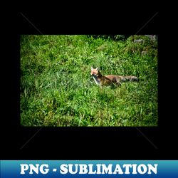 fox hunt  swiss artwork photography - png transparent sublimation file - fashionable and fearless