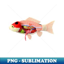 anatomy of nishiki-koi fish 2 - aesthetic sublimation digital file - perfect for sublimation mastery