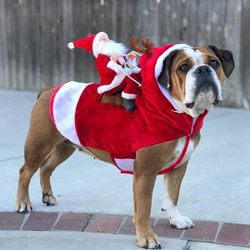 pet goofy santa sleigh saddle costume - christmas animal clothing, funny halloween cosplay, christmas animal lovers,