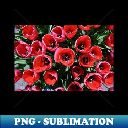 red flowers  swiss artwork photography - professional sublimation digital download - revolutionize your designs