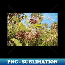 Plants in Summer - Creative Sublimation PNG Download - Unleash Your Creativity