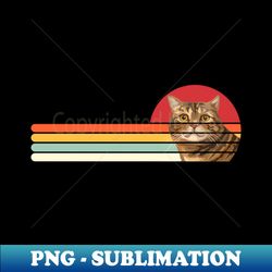 Scottish Straight Cat - Digital Sublimation Download File - Revolutionize Your Designs