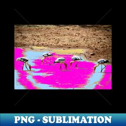 pelicans  swiss artwork photography - png transparent sublimation design - revolutionize your designs