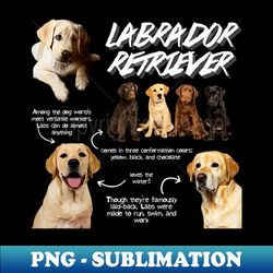 labrador retriever fun facts - exclusive sublimation digital file - add a festive touch to every day