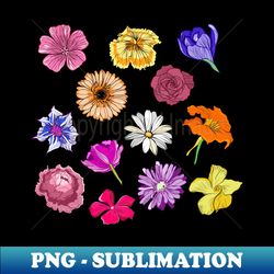 set of flower heads - aesthetic sublimation digital file - bring your designs to life