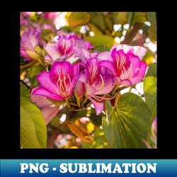 spring morning vi - png sublimation digital download - capture imagination with every detail