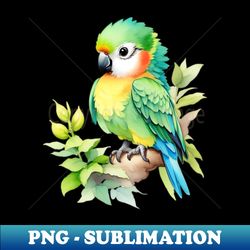 baby parrot - elegant sublimation png download - fashionable and fearless