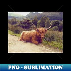 highland cow retro nature photography - unique sublimation png download - transform your sublimation creations