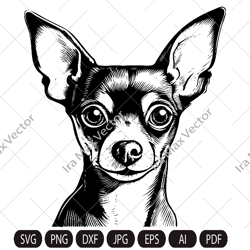 toy terrier svg, toy terrier svg file , toy terrier printable tshirt design, toy terrier head svg, toy terrier face svg,