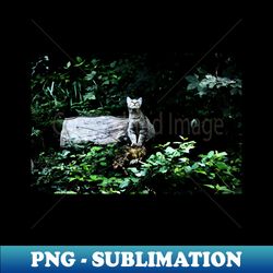 wild cat ii  swiss artwork photography - retro png sublimation digital download - bold & eye-catching