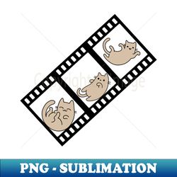 cat slide three frames photography - premium sublimation digital download - revolutionize your designs