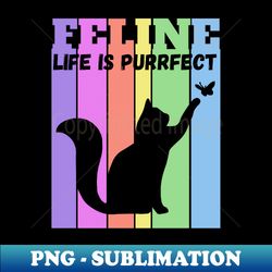 cat, feline life is purrfect pastel rainbow bars, kitty - premium png sublimation file - fashionable and fearless