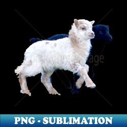 lamb black and white  swiss artwork photography - exclusive sublimation digital file - unlock vibrant sublimation designs