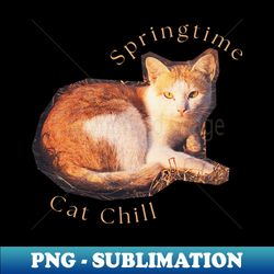 spring season orange cat - premium png sublimation file - bold & eye-catching