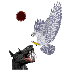 black dog vs white hawk