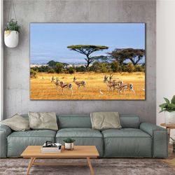 african antelope herd nature animal landscape roll up canvas, stretched canvas art, framed wall art painting