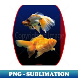 fish cute fish fish colorful fish coral beatiful fish - creative sublimation png download - stunning sublimation graphics