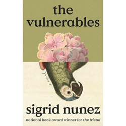 the vulnerables a novel