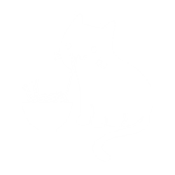 cute cat eating ramen