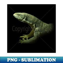 monitor lizard - aesthetic sublimation digital file - bring your designs to life