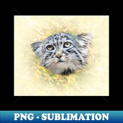 manul-pallass cat - unique sublimation png download - capture imagination with every detail