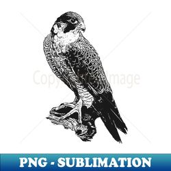 falcon - trendy sublimation digital download - spice up your sublimation projects