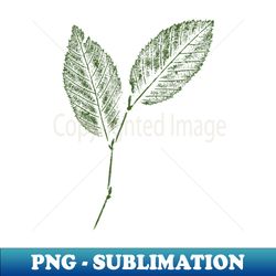 beech leaf - modern sublimation png file - defying the norms