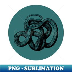 halloween snake portents omens and signs - stylish sublimation digital download - stunning sublimation graphics