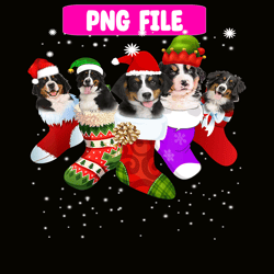 dog in christmas sock funny png, christmas dog moods png, cute gifts png