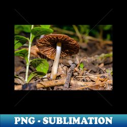 mushroom cap on the woodlands floor photograph - png transparent sublimation file - instantly transform your sublimation projects